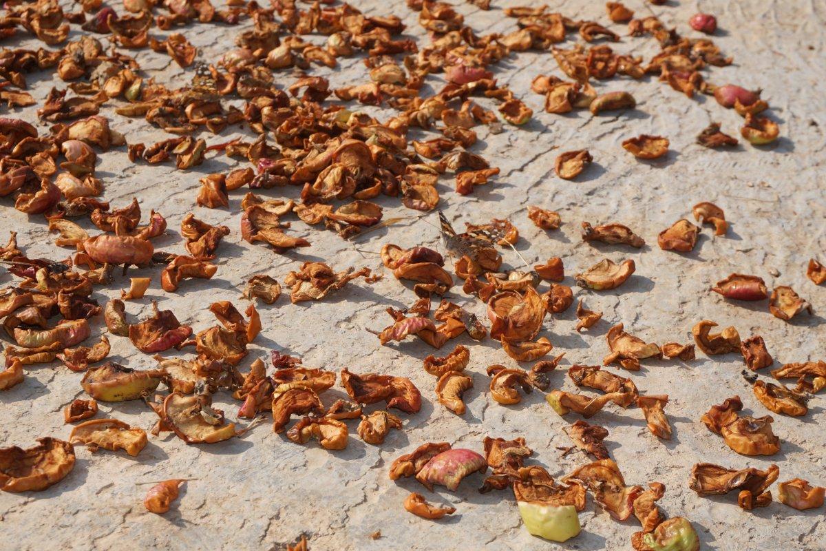 Şırnak’ta kış öncesi meyveler kurutulup, salçalar yapıldı