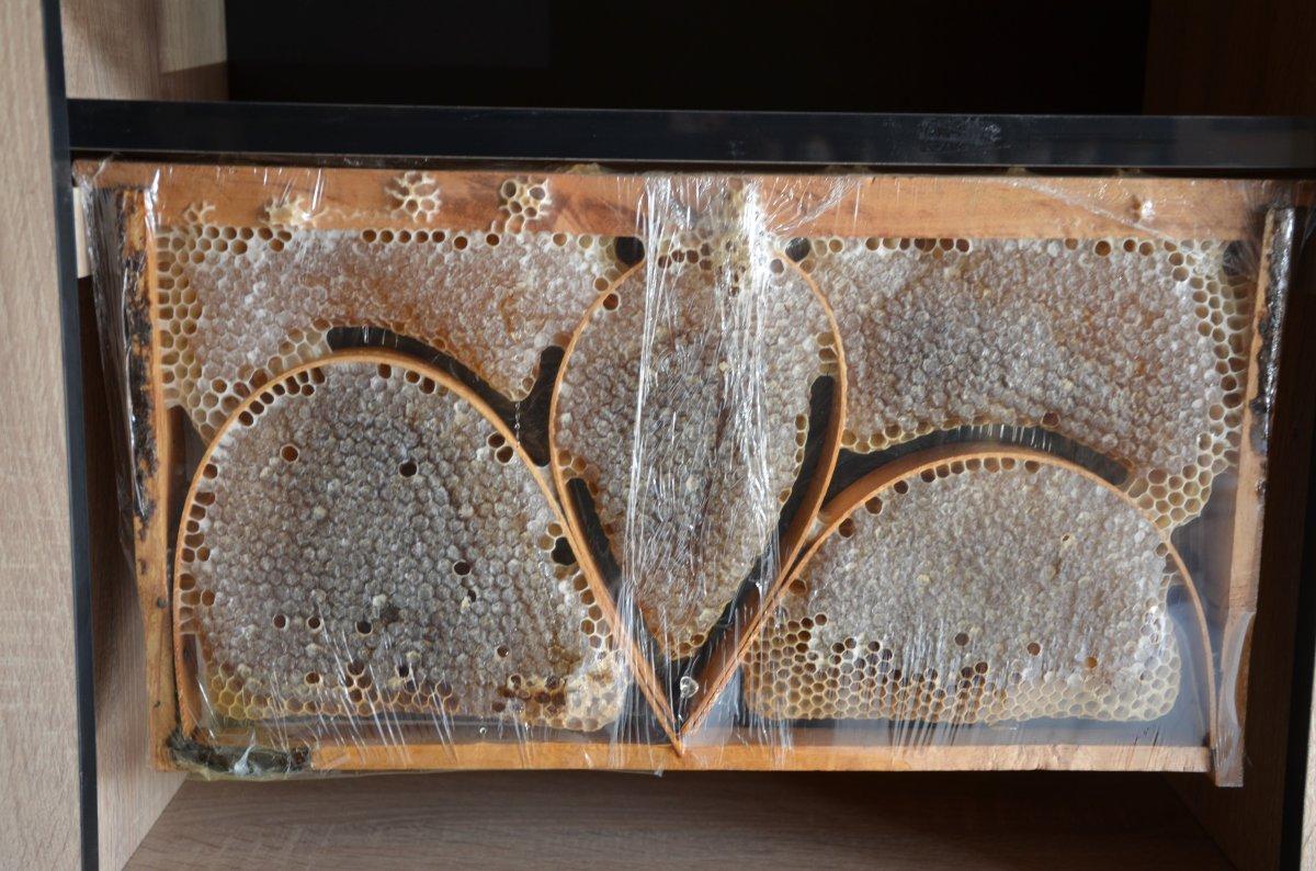 Şırnak’ta kış öncesi meyveler kurutulup, salçalar yapıldı