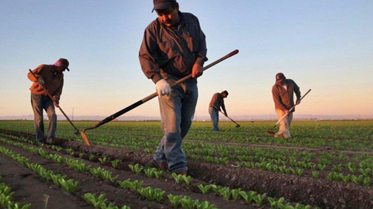 Çiftçiye beklenen haber geldi! 2022 mazot ve gübre desteği yattı mı? Mazot gübre desteği sorgulama!