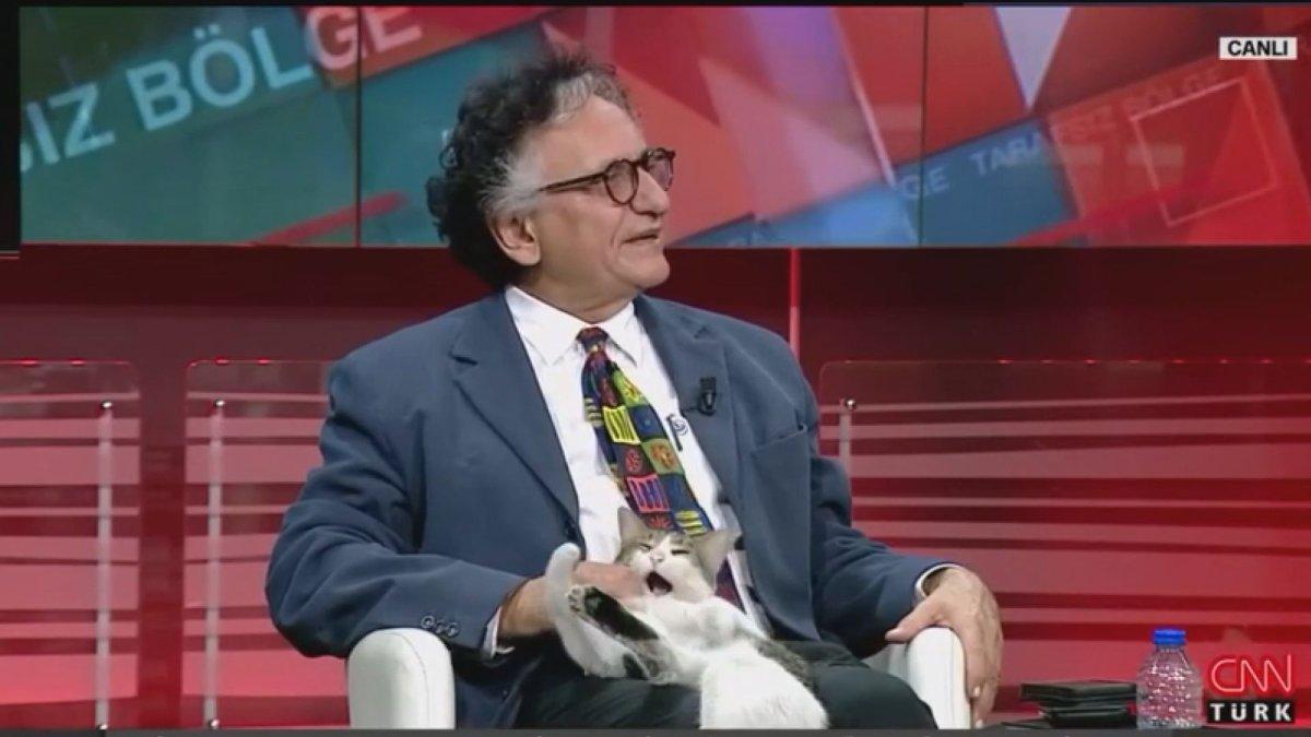 CNN Türk canlı yayınına kedi sürprizi