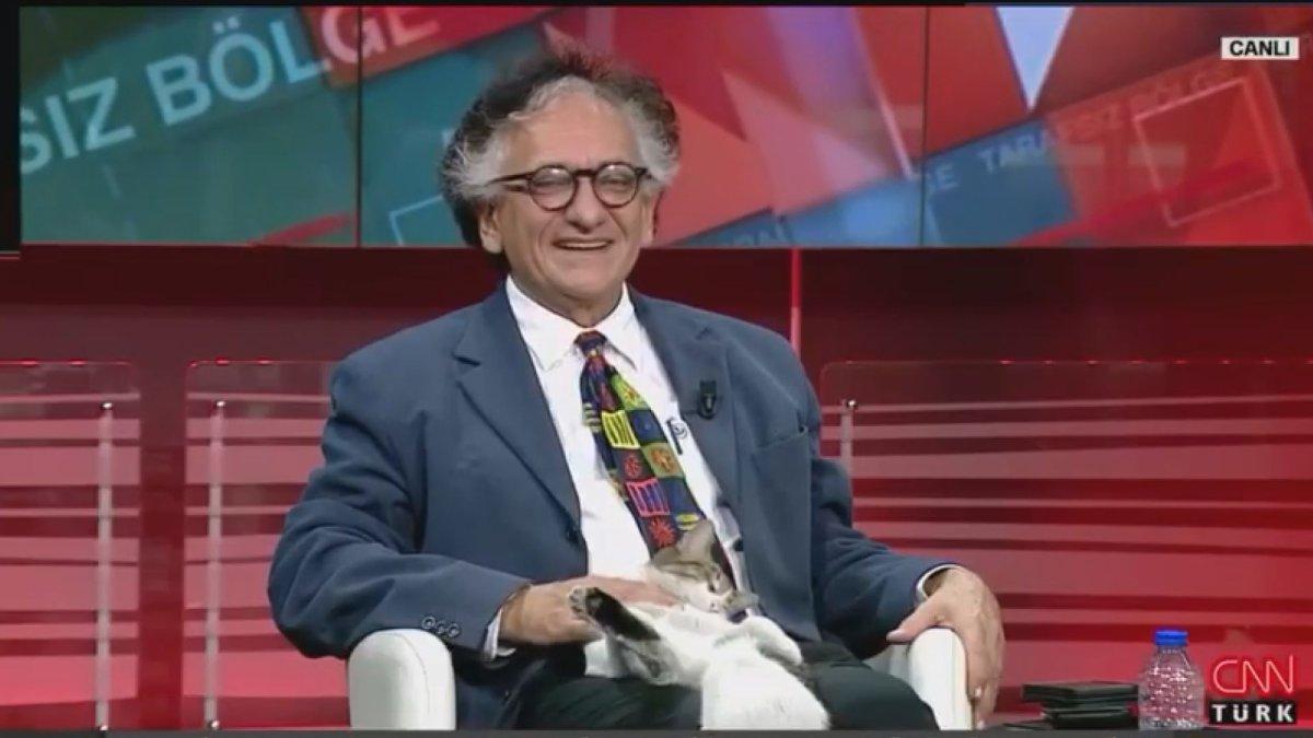 CNN Türk canlı yayınına kedi sürprizi