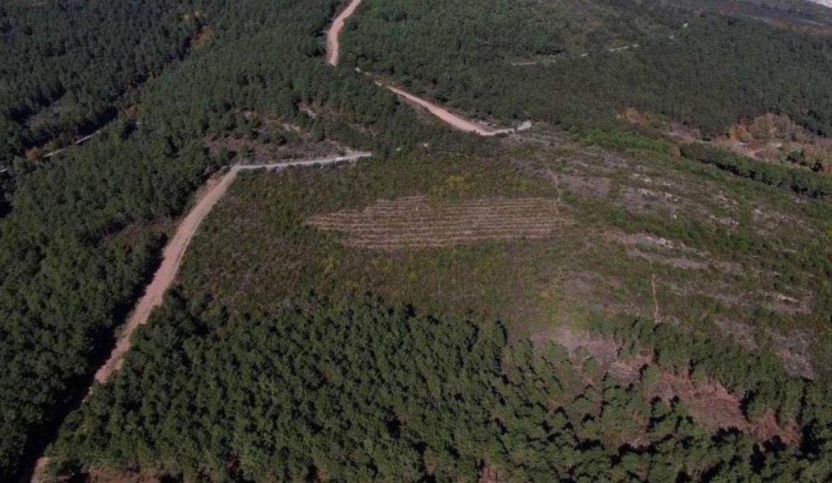 Aydos Ormanı’nda PKK'lı teröristin yaktığı ormanlık alanın son hali görüntülendi