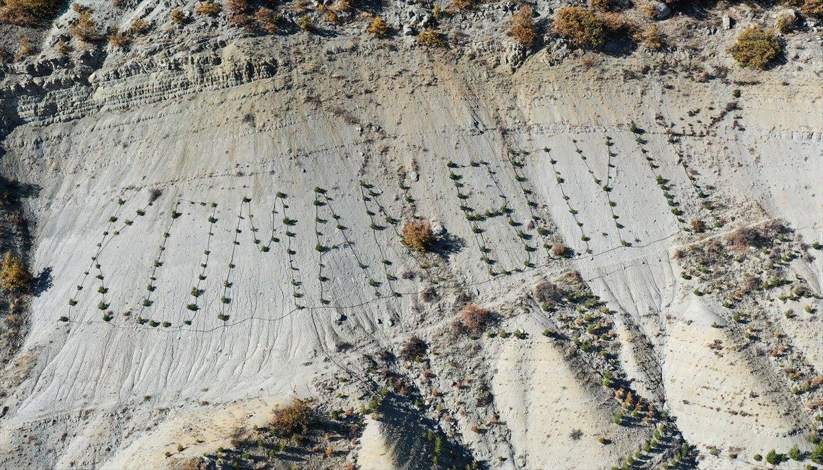 Giresunlu Cemal Emmi, 30 yıldır köyündeki atıl arazileri ağaçlandırıyor
