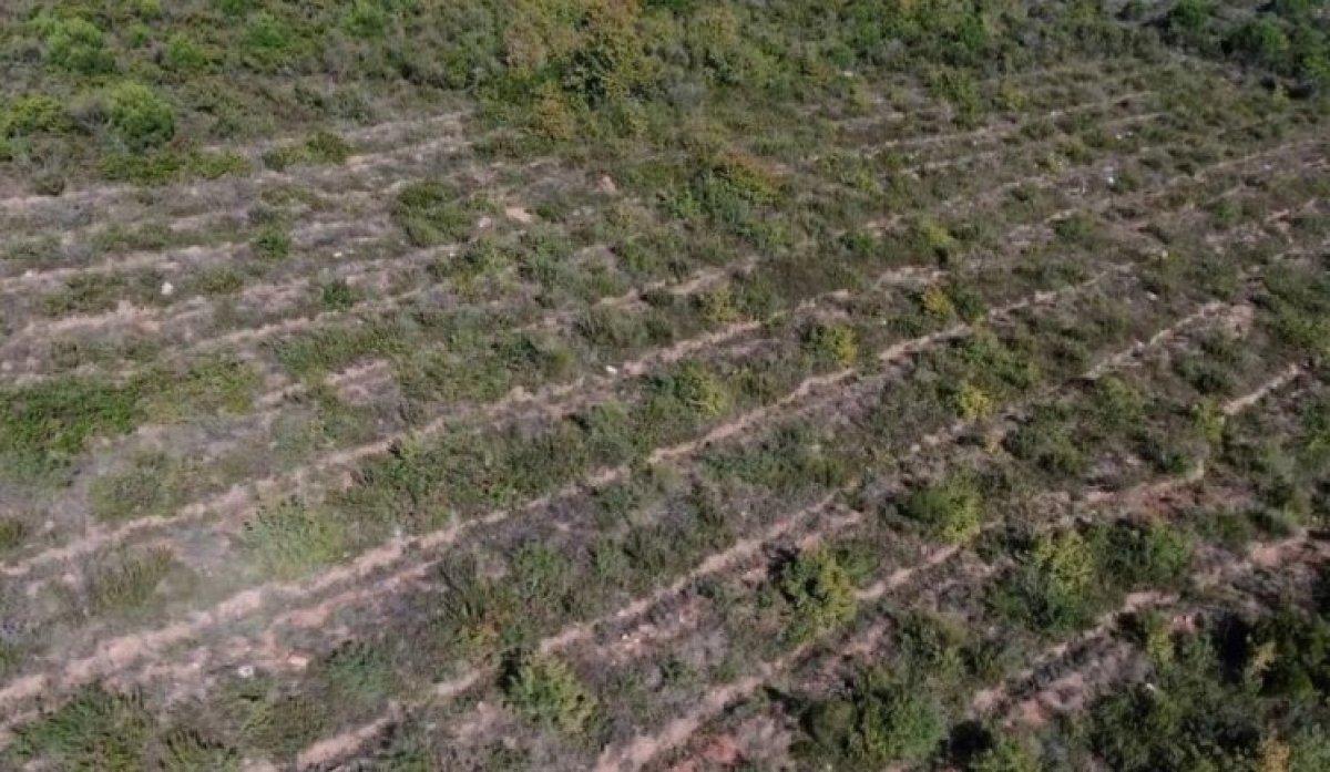 Aydos Ormanı’nda PKK'lı teröristin yaktığı ormanlık alanın son hali görüntülendi