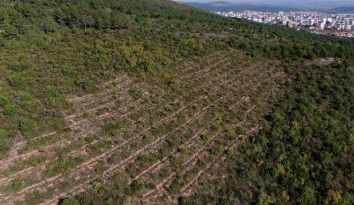 Aydos Ormanı’nda PKK'lı teröristin yaktığı ormanlık alanın son hali görüntülendi