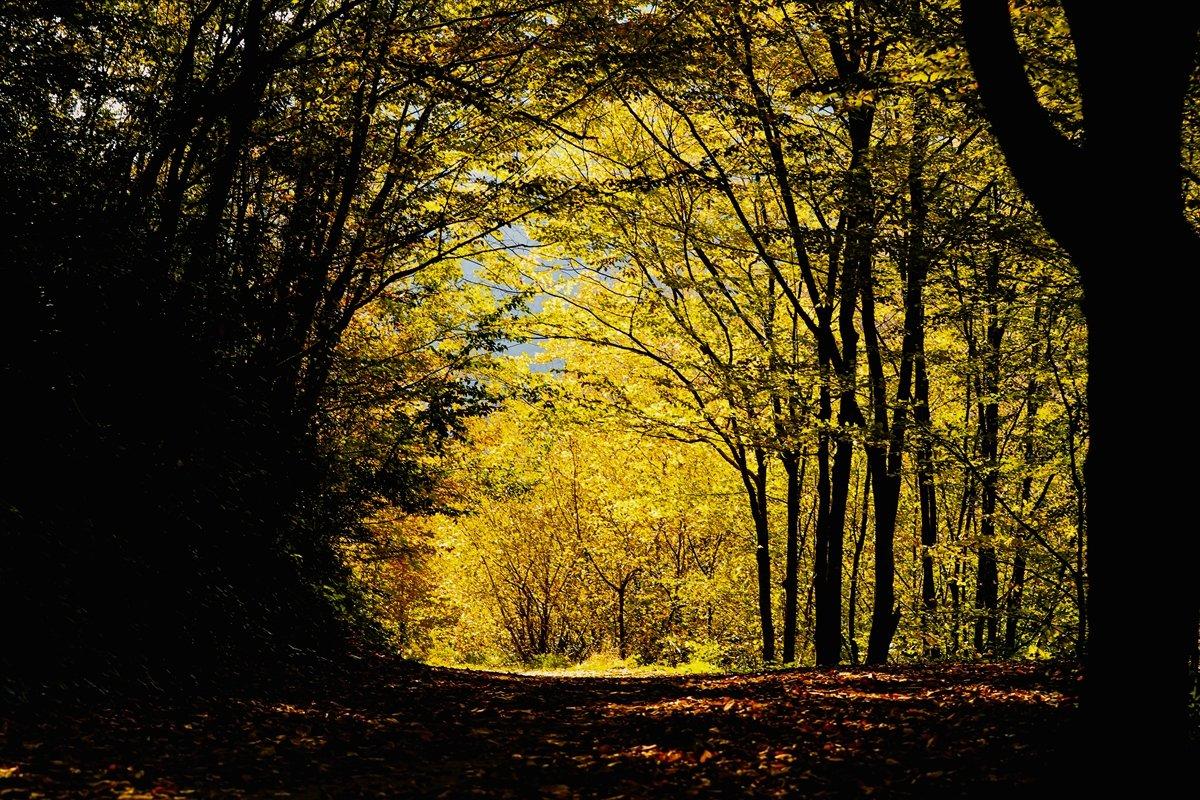 Sakarya'da Maden Deresi'nin eşsiz manzaları