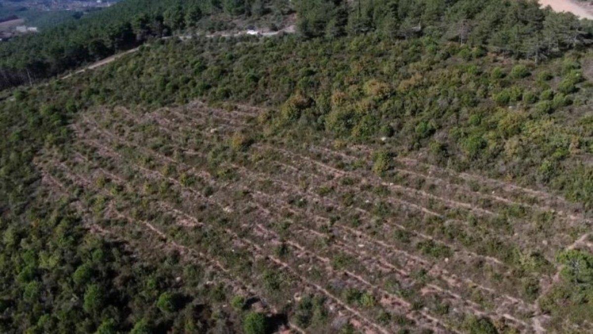 Aydos Ormanı’nda PKK'lı teröristin yaktığı ormanlık alanın son hali görüntülendi