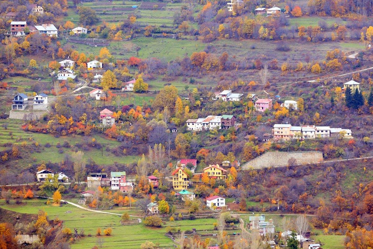 Gümüşhane'deki ‘Örümcek Ormanları’ndan sonbahar manzaraları