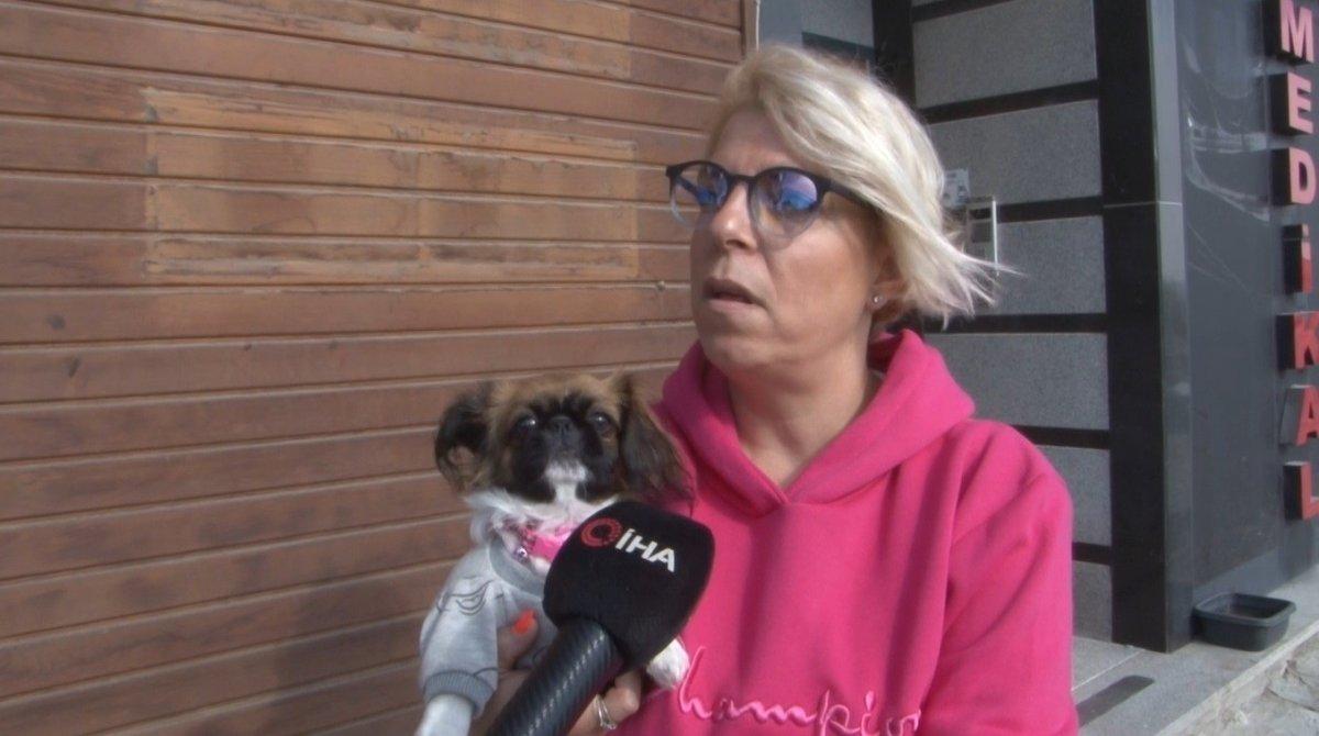 Büyükçekmece'de düşen köpeği havada yakaladı