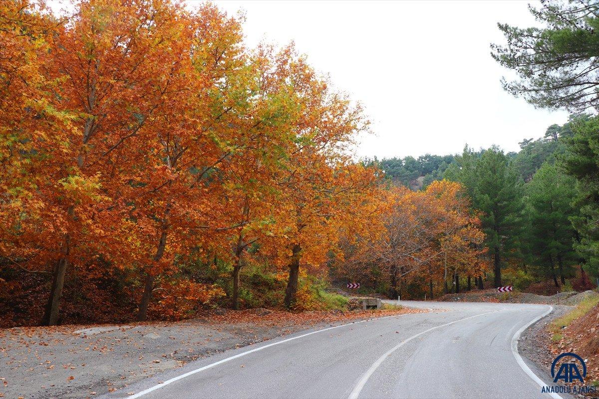 Adana'daki Belemedik Tabiat Parkı'ndan sonbahar manzaraları