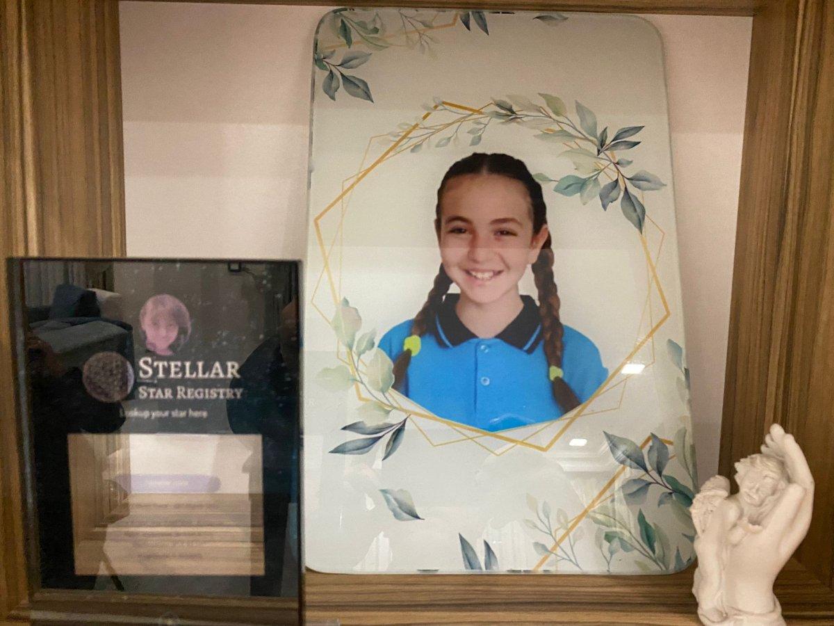 Antalya'da sokak köpekleri nedeniyle çocuğunu kaybeden babanın kurduğu dernek