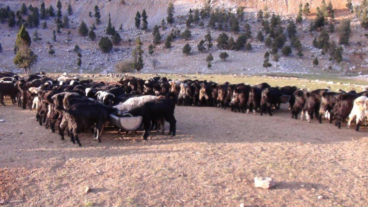 Antalya’da Yörükler dönüş yoluna geçti