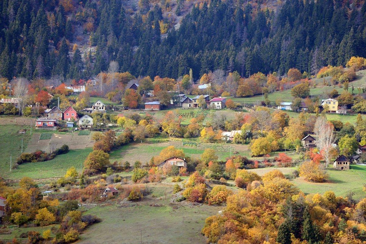 Gümüşhane'deki ‘Örümcek Ormanları’ndan sonbahar manzaraları