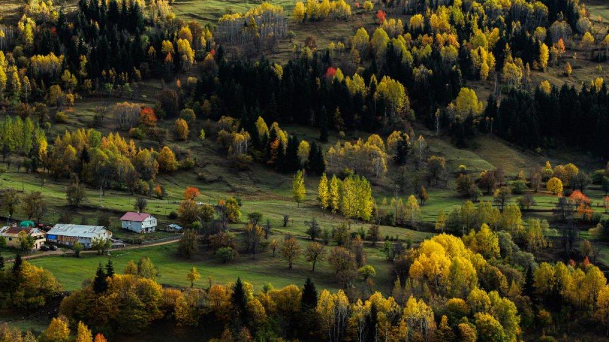 Artvin'de sonbahar renkleri görsel şölen sundu