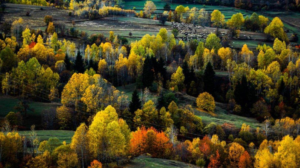 Artvin'de sonbahar renkleri görsel şölen sundu