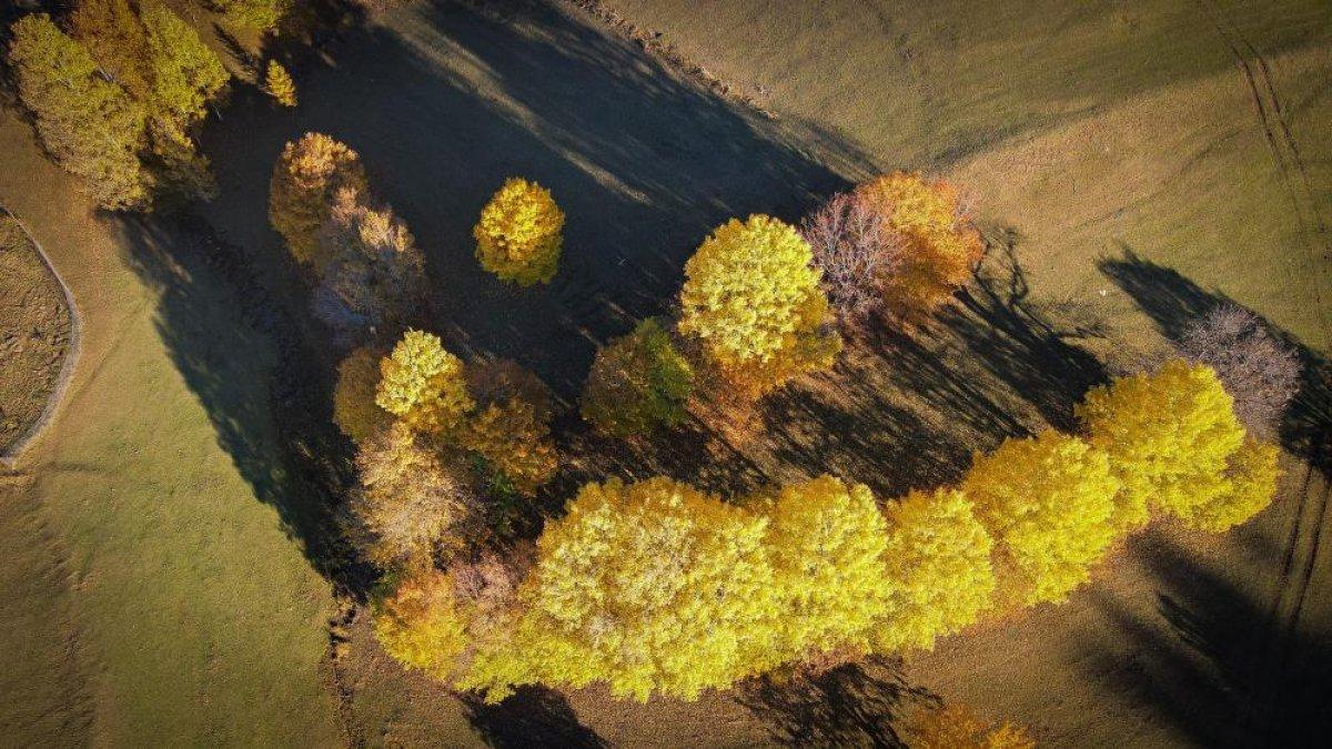 Artvin'de sonbahar renkleri görsel şölen sundu