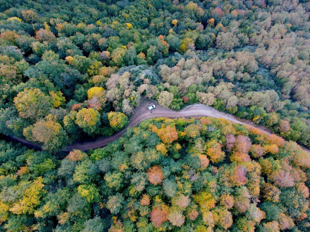 Kastamonu'daki Loç Vadisi'nde sonbahar şöleni