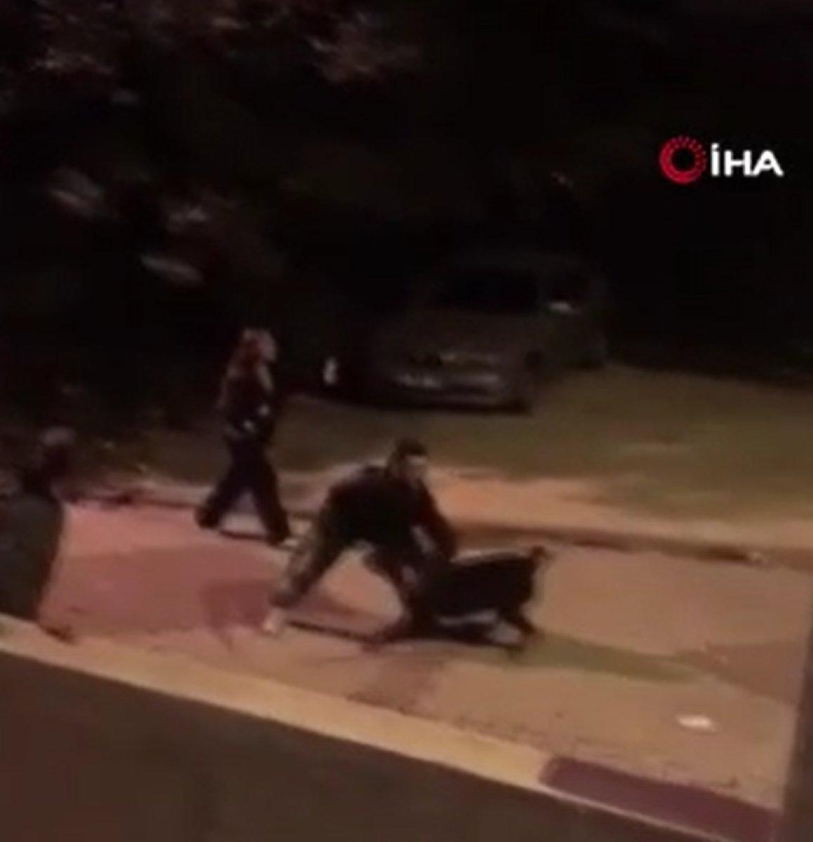 Büyükçekmece'de sahipli köpek 15 yaşındaki çocuğu ısırdı