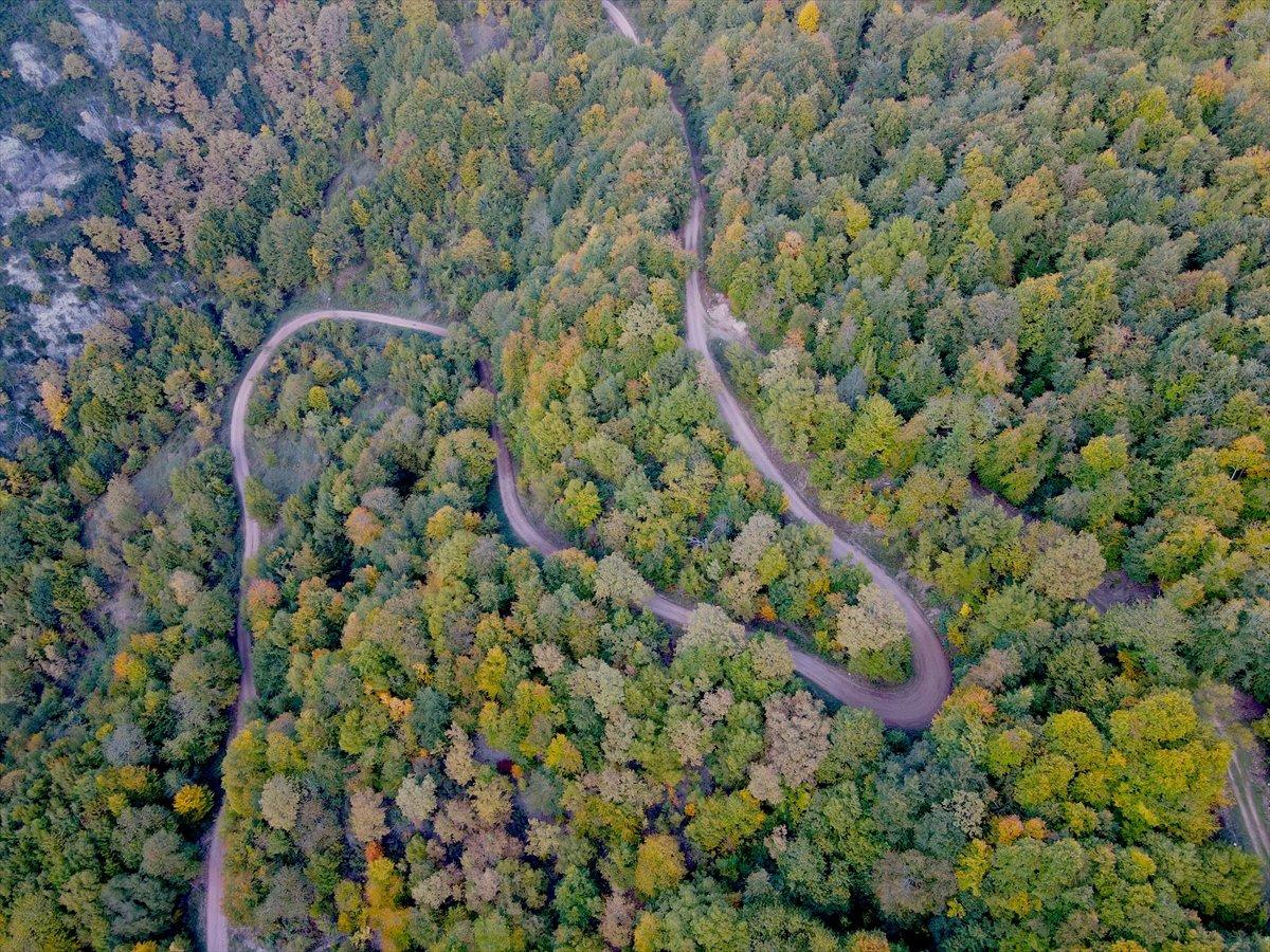 Kastamonu'daki Loç Vadisi'nde sonbahar şöleni