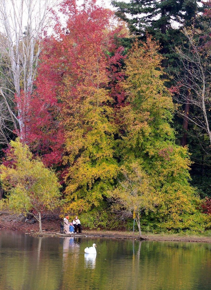 Atatürk Arboretumu sonbahar renklerine büründü
