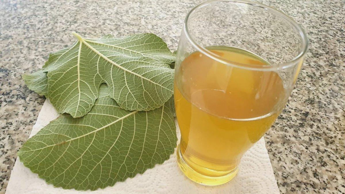 İncir yaprağı faydaları nelerdir, neye iyi gelir? İncir yaprağı çayı tarifi!