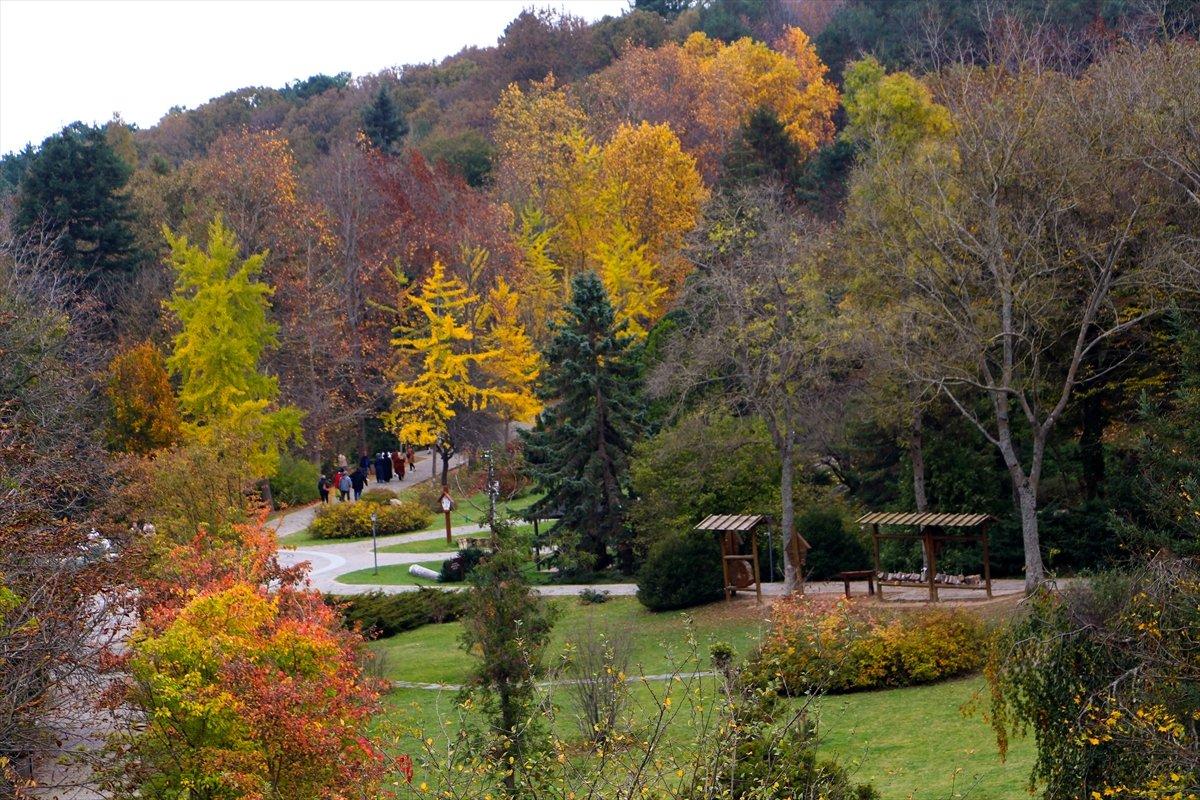Atatürk Arboretumu sonbahar renklerine büründü