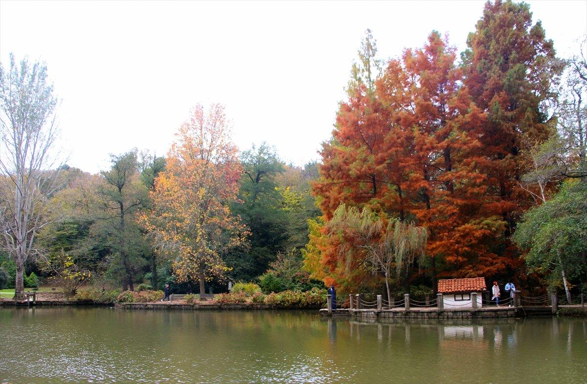 Atatürk Arboretumu sonbahar renklerine büründü