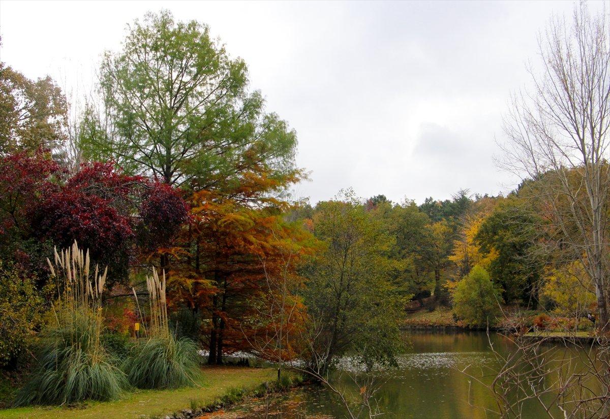 Atatürk Arboretumu sonbahar renklerine büründü