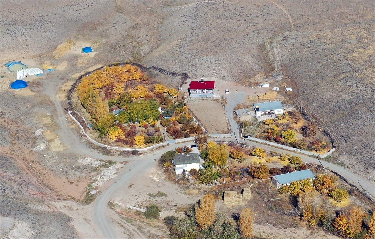 Iğdır'daki ağaçların renk gümbüşü göz kamaştırdı