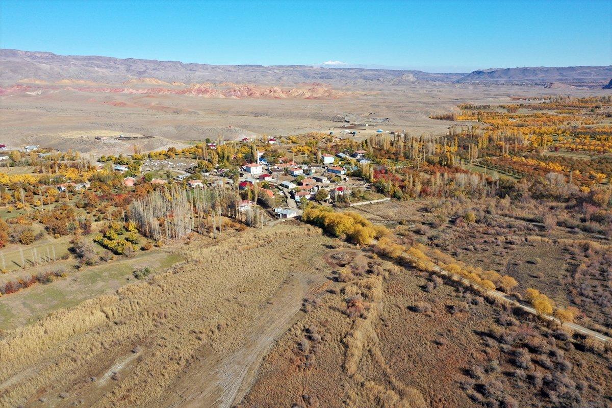 Iğdır'daki ağaçların renk gümbüşü göz kamaştırdı