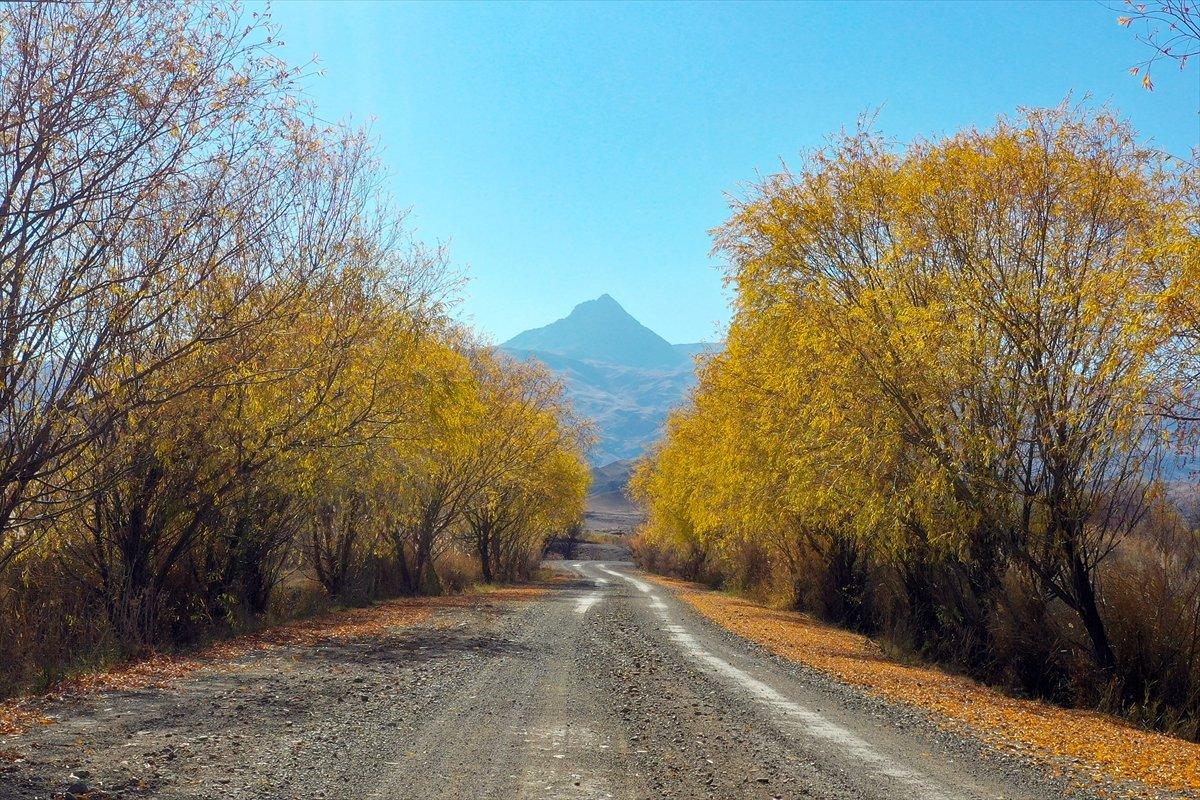 Iğdır'daki ağaçların renk gümbüşü göz kamaştırdı