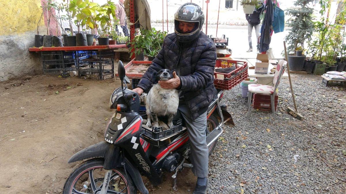 Yozgat'ta motosiklet tutkunu köpek görenleri hayrete düşürüyor