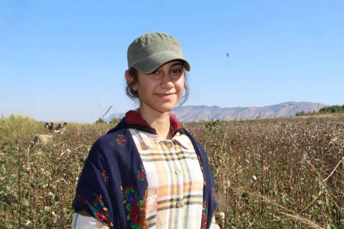 Cudi Dağı terörden temizlendi pamuk üretimi başladı