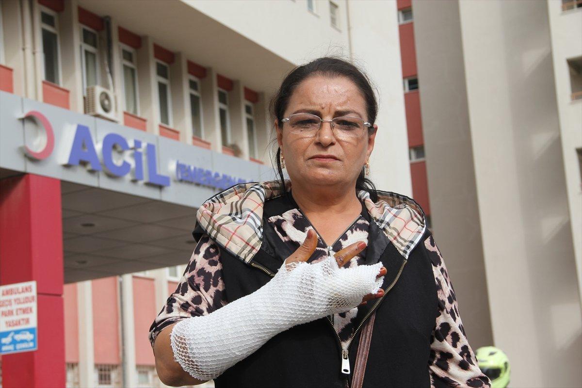 Aydın'da tasmasız köpek yürüyüş yapan kadını ısırdı