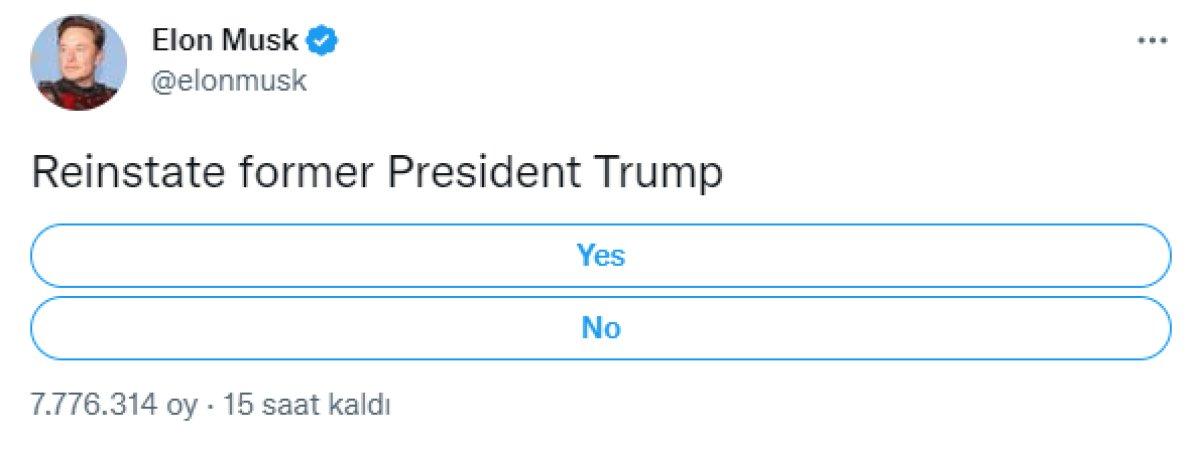 Elon Musk, Donald Trump için anket başlattı