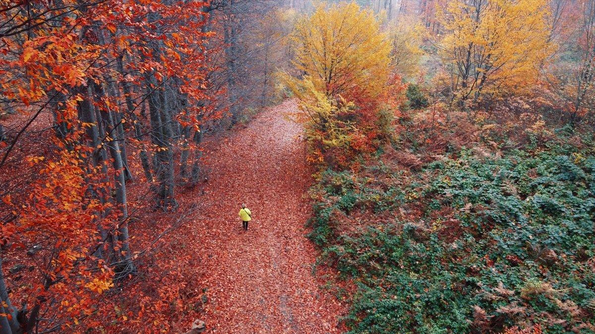 Samsun'daki Nebiyan Dağı güz renklerine boyandı