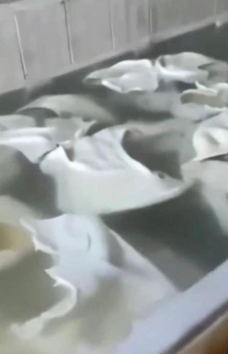 Ankara'da kurtlanan işkembe işlemden geçirilip piyasaya sürülüyor iddiası 