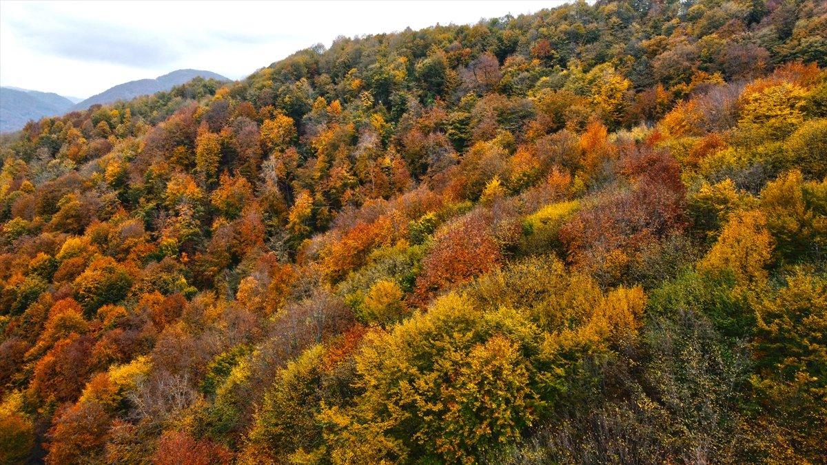 Samsun'daki Nebiyan Dağı güz renklerine boyandı