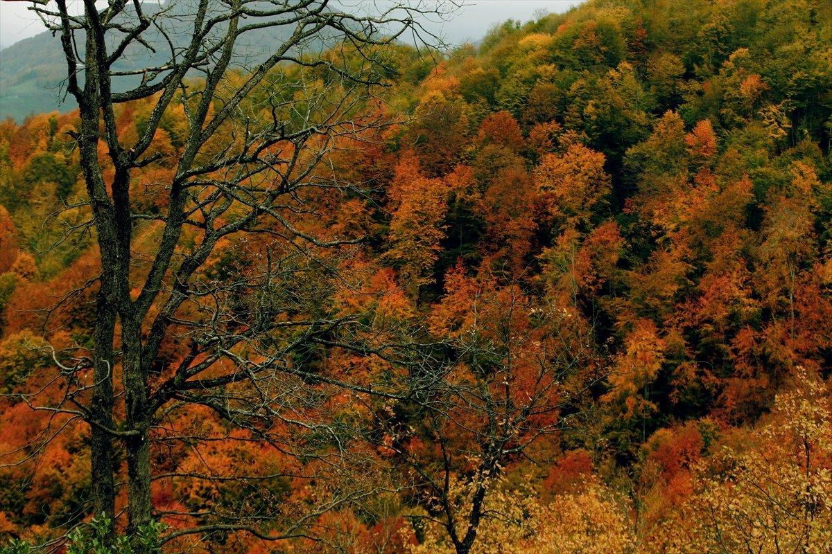 Samsun'daki Nebiyan Dağı güz renklerine boyandı