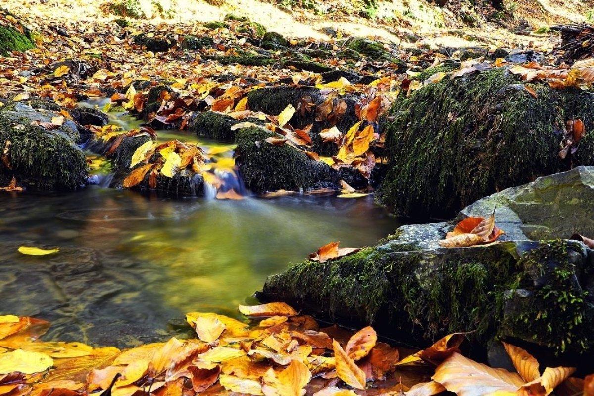 Zonguldak'ta sonbaharda renk cümbüşü 