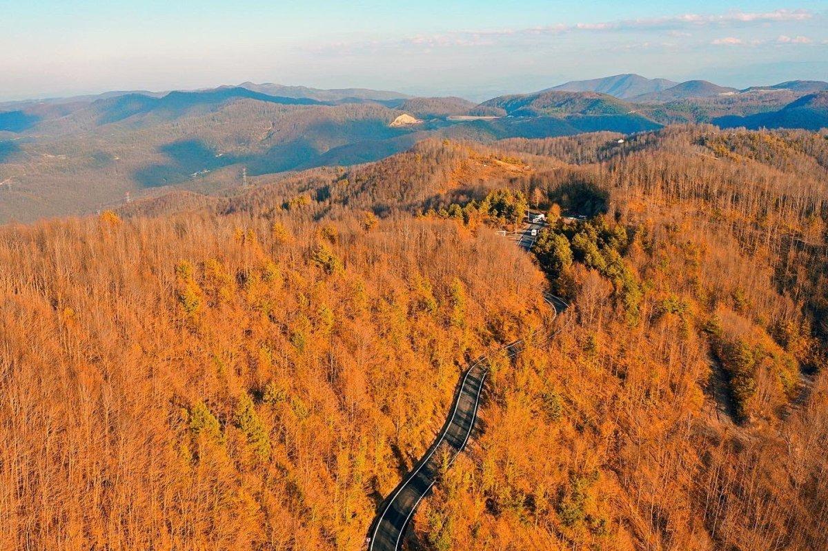 Zonguldak'ta sonbaharda renk cümbüşü 