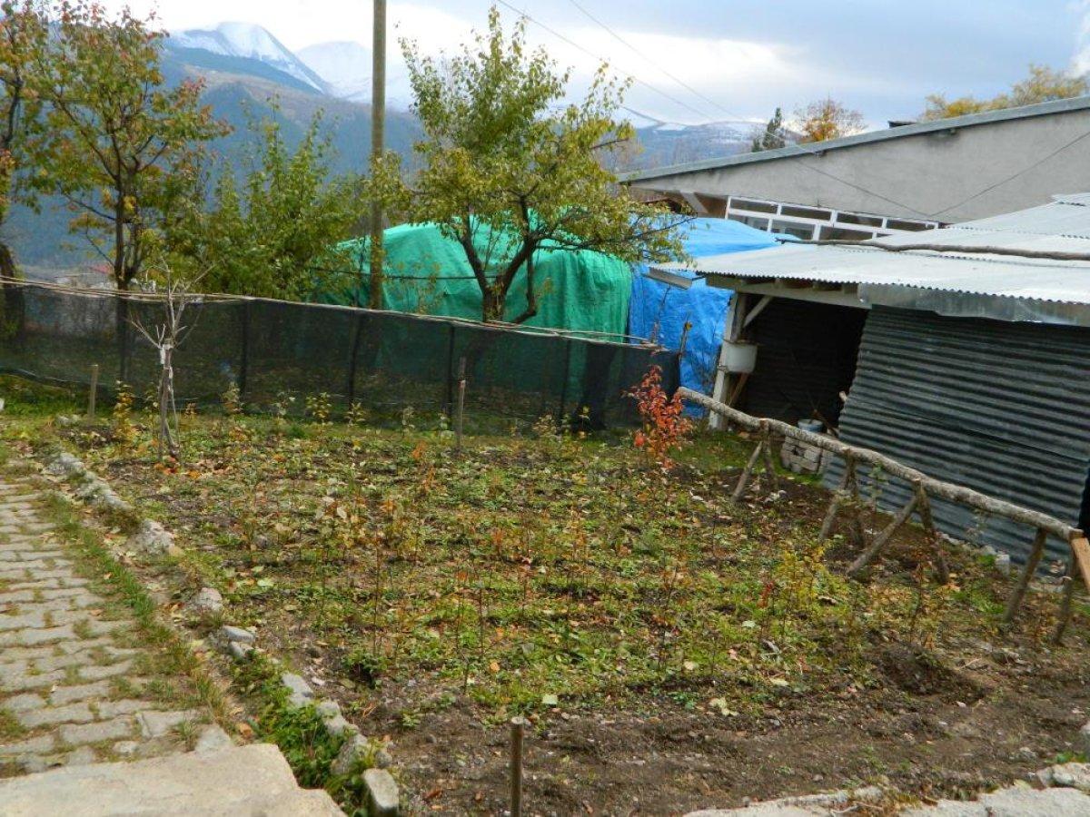 Ardahan'da yeteneğiyle görenleri şaşırtıyor: Kafasına vurulan elmanın rengini biliyor