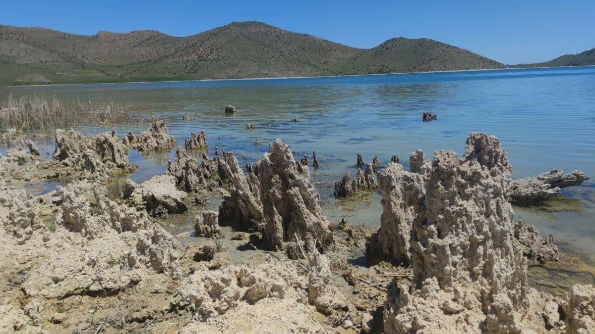 Van Gölü'ndeki mikrobiyalitler, suların çekilmesi ile zarar görmeyecek