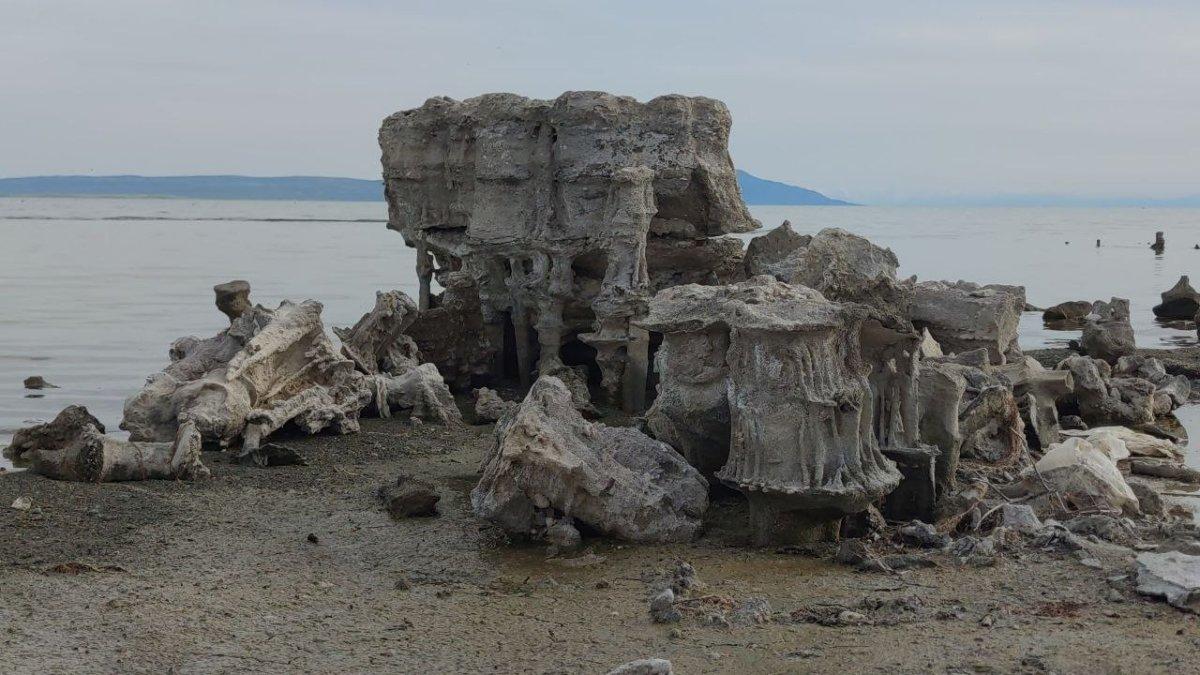 Van Gölü'ndeki mikrobiyalitler, suların çekilmesi ile zarar görmeyecek