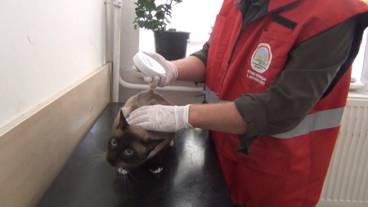 Çip taktırmayan hayvan sahipleri ceza alacak