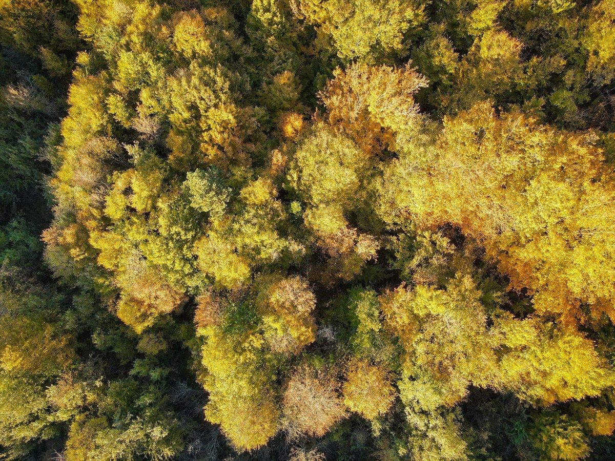 Kastamonu'daki cam terasa yoğun ilgi
