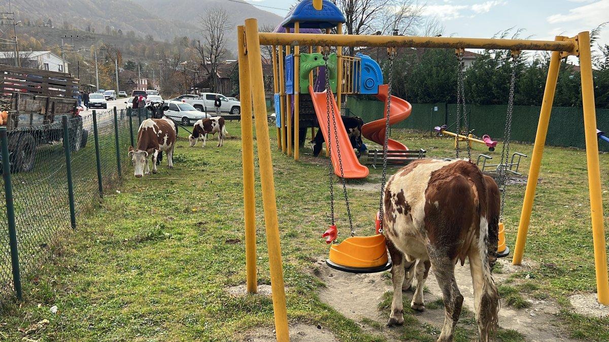 Düzce'de samanlıkta çıkan yangın lodosun etkisiyle arttı