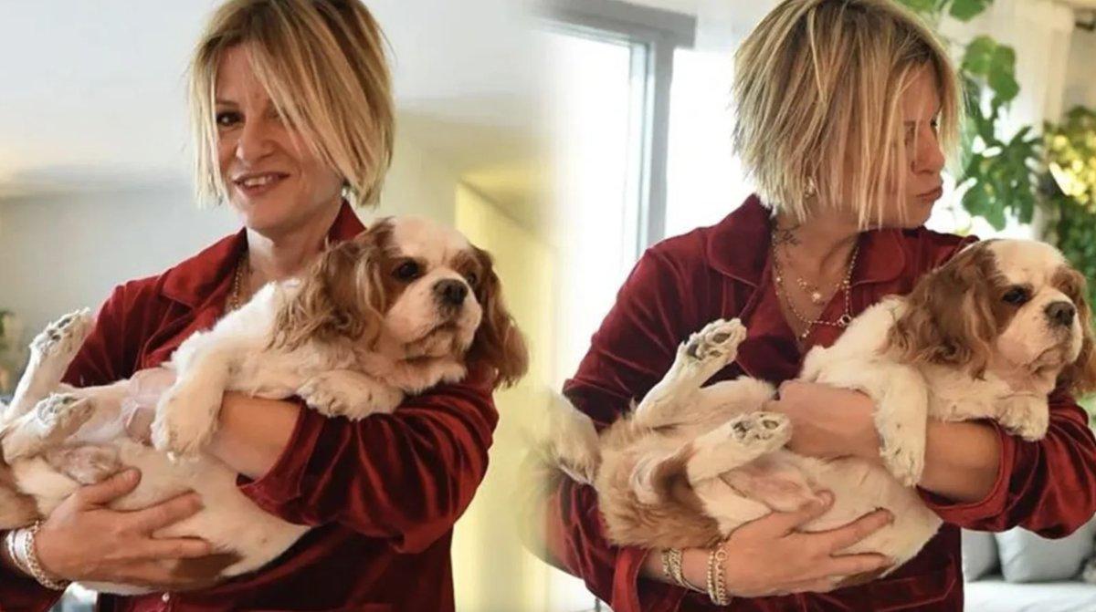 Ayşe Arman'ın köpeği başıboş pitbull saldırısına uğradı