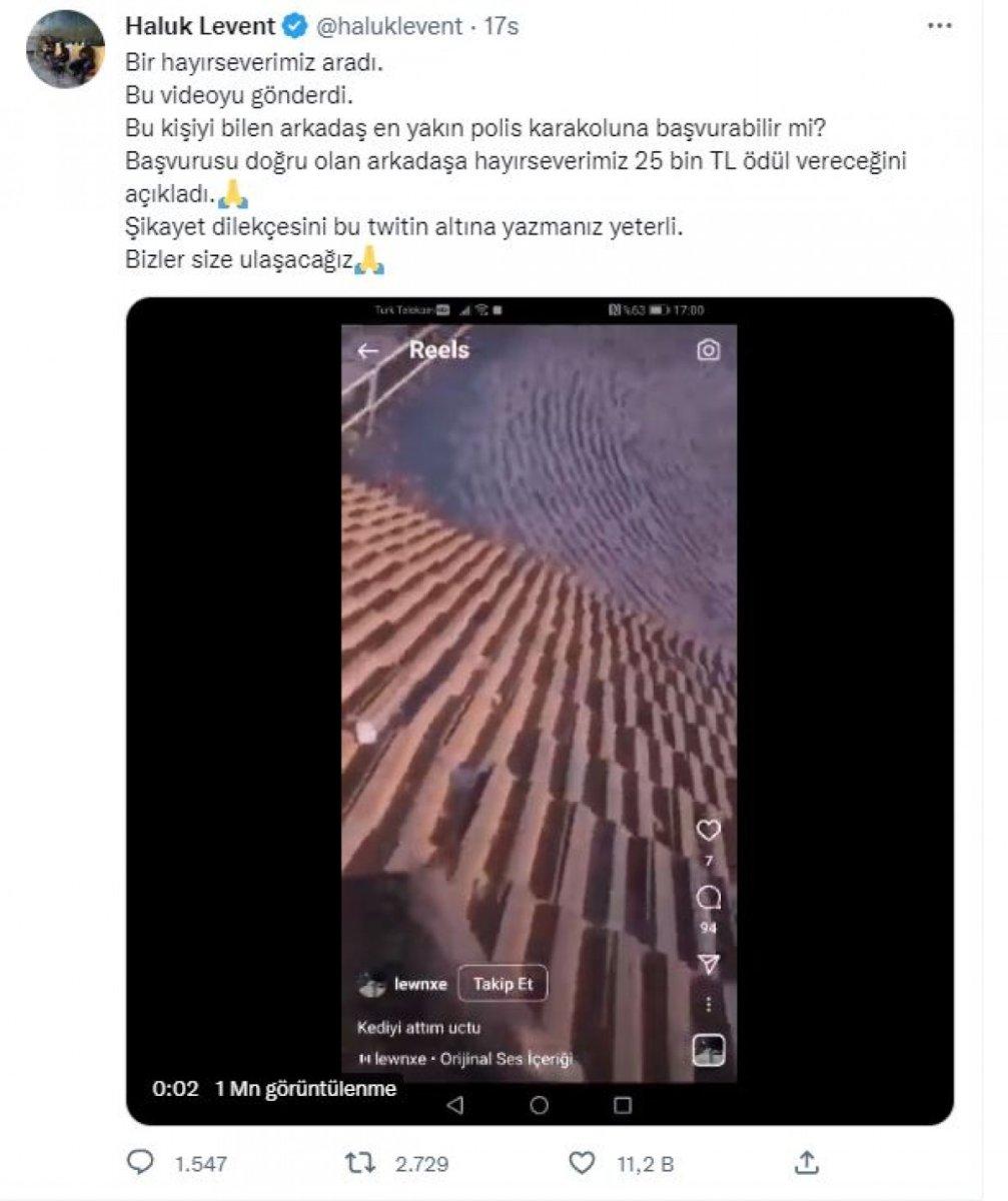 Haluk Levent, kediyi çatıdan atanı bulana para ödülü verileceğini duyurdu