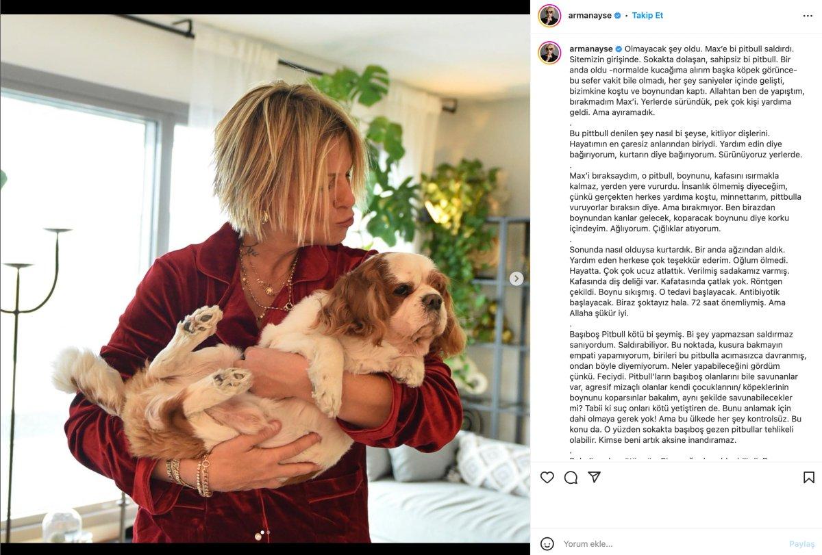 Ayşe Arman'ın köpeği başıboş pitbull saldırısına uğradı